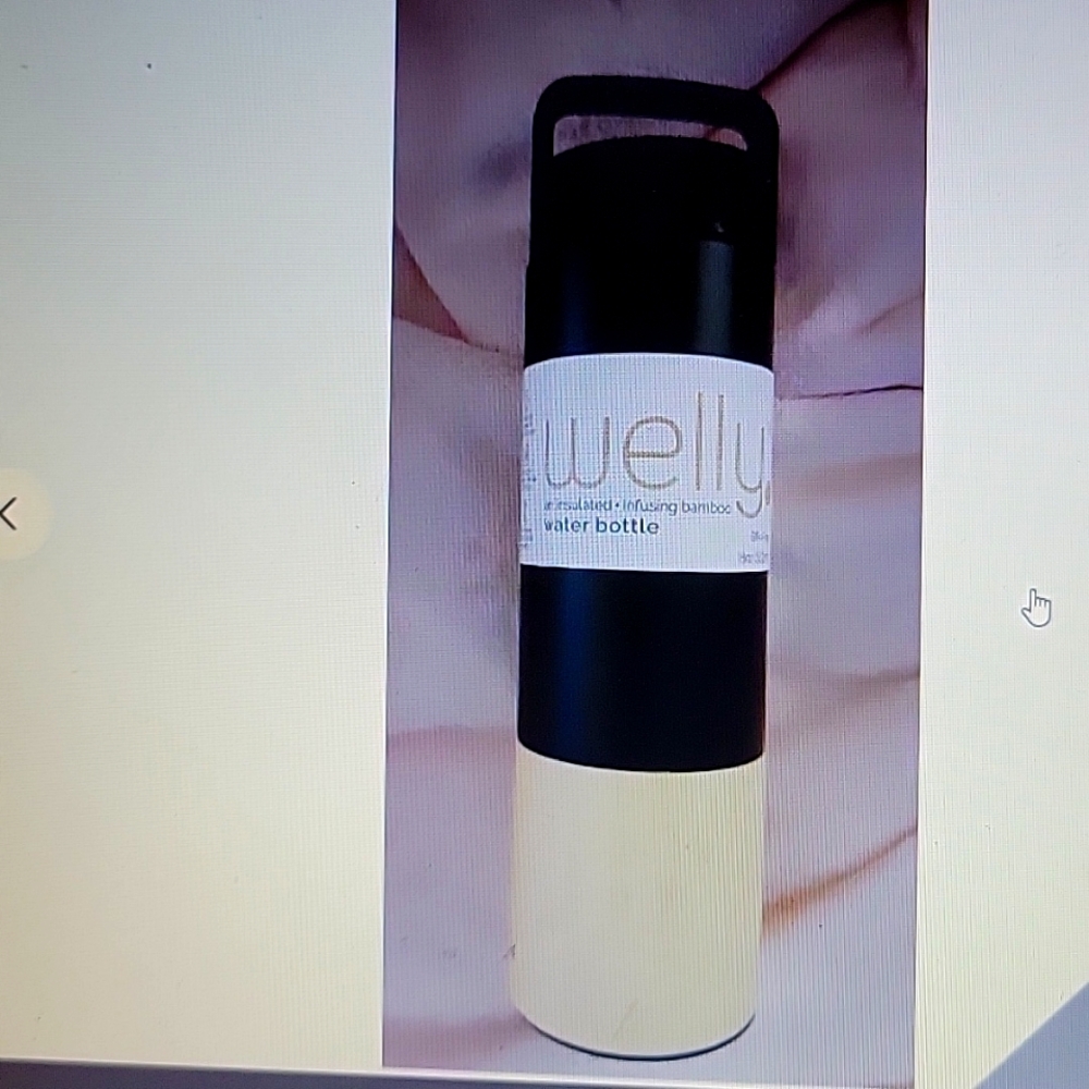 Welly Traveler Insulated & Infusing Bamboo Stainless Steel Water Bottle 18oz New